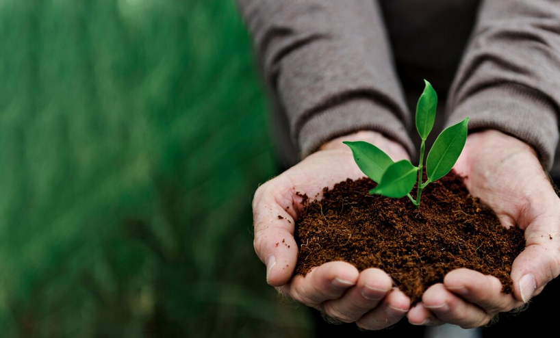 Sustainability